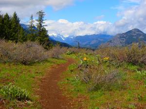 Black Bear Trail Sun Mountain