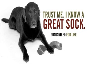 Page 8, Darn Tough Sock photo